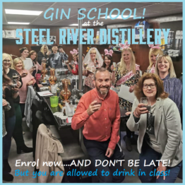 GIN SCHOOL PAGE IMAGE